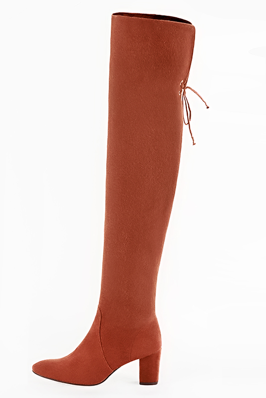 Terracotta orange women's leather thigh-high boots. Round toe. Medium block heels. Made to measure. Profile view - Florence KOOIJMAN